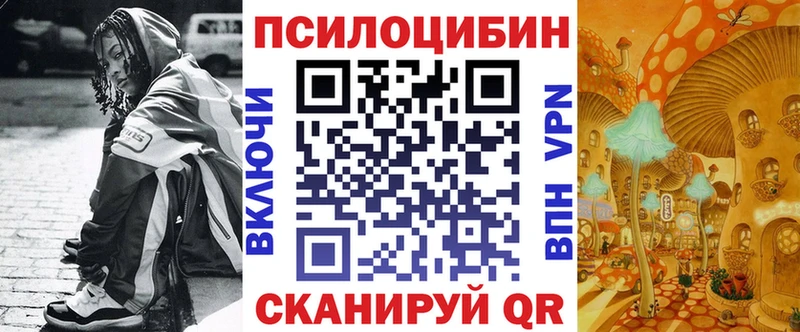 Галлюциногенные грибы Psilocybine cubensis  Буйнакск 